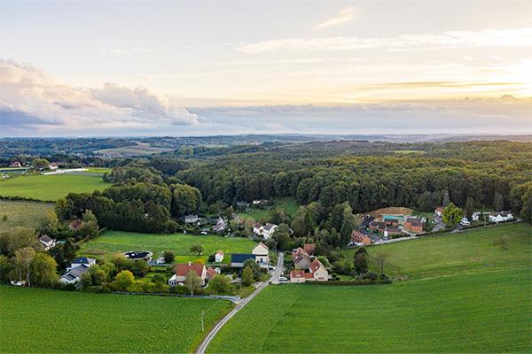 green fields and houses on the edge of a forest