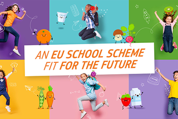 An EU school shcme fit for the future