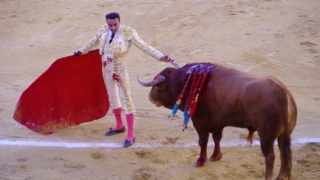 スペイン　バレンシア　闘牛