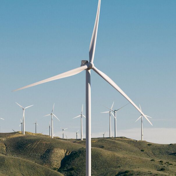 Wind farm on rolling hills with rows of turbines