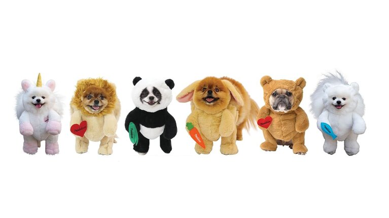 An image of dogs in a variety of Pandaloon costumes including a unicorn, a lion, a panda, a rabbit, and a teddy bear.