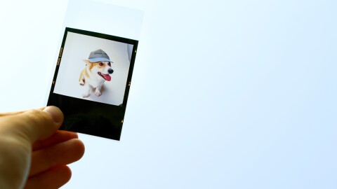 A hand holds a positive film strip that contains a picture of a Welsh Corgi named Rufus, the first dog of Amazon. He is wearing a hat that says amazon.com.
