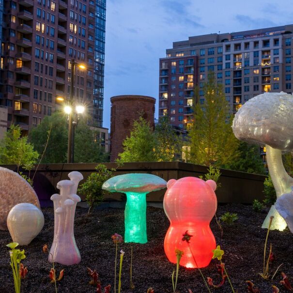 An image of an art installation at Amazon's second headquarters in Arlington, Virginia.