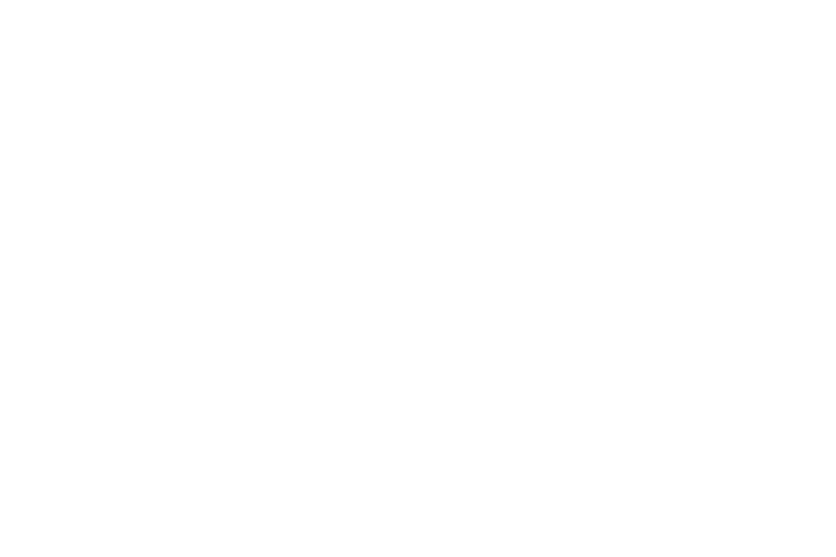 2024 Shanghai Track Map (Turns)