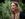Bumble CEO Whitney Wolfe Herd The Circuit Interview