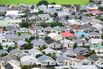 Homes in Wellington, New Zealand.