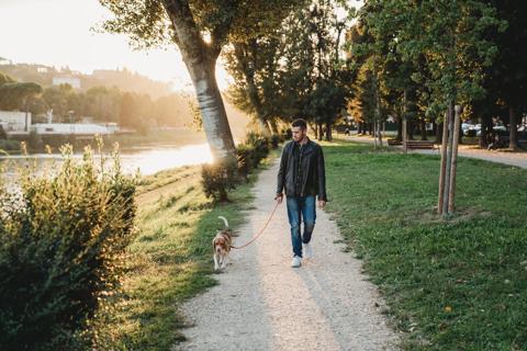 Young man wearing jeans and a leather jacket walks a small brown and white dog on a wooded path next to a river