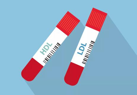 An illustration of two vials labeled "HDL" and "LDL"