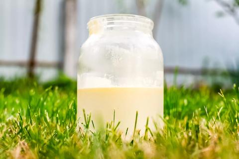 Jar of raw glass sitting in grass