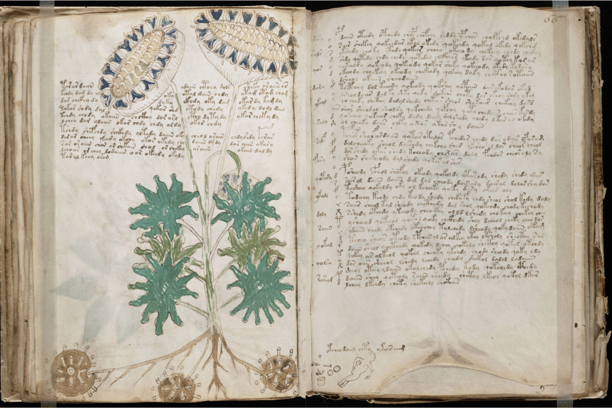 The Voynich manuscript has been carbon dated to the middle of the Fifteenth Century