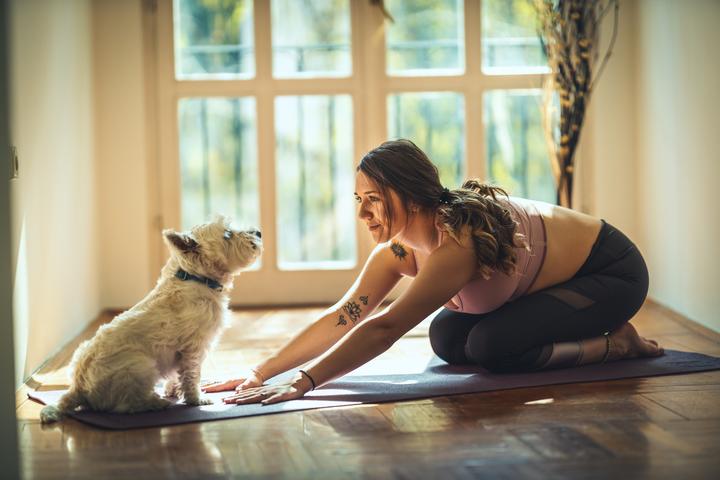 New research saw mental health benefits in pet companionship during pandemic lockdown regardless of the species of pet