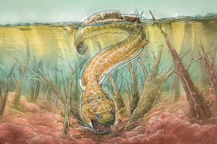 An artist's impression of Gaiasia jennyae, a gigantic amphibious swamp monster from the Permian (expanded to fit aspect ratio using generative tools)