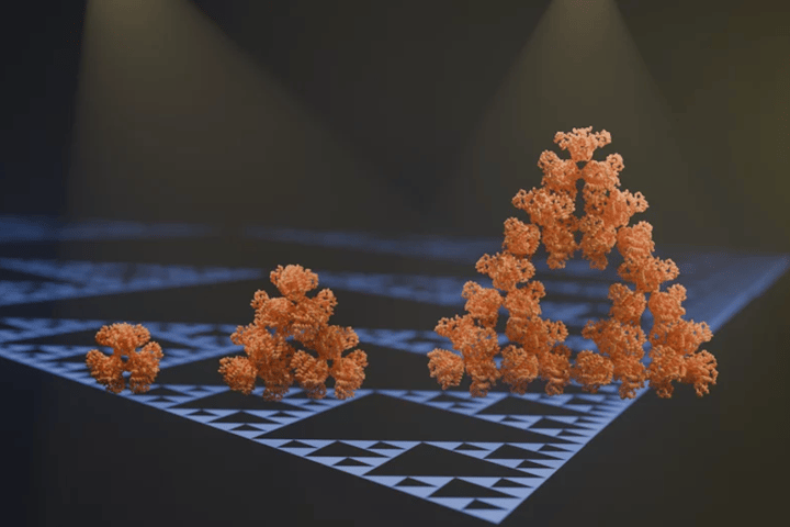 A molecular model of the fractal protein, showing clear signs of a Sierpiński triangle structure