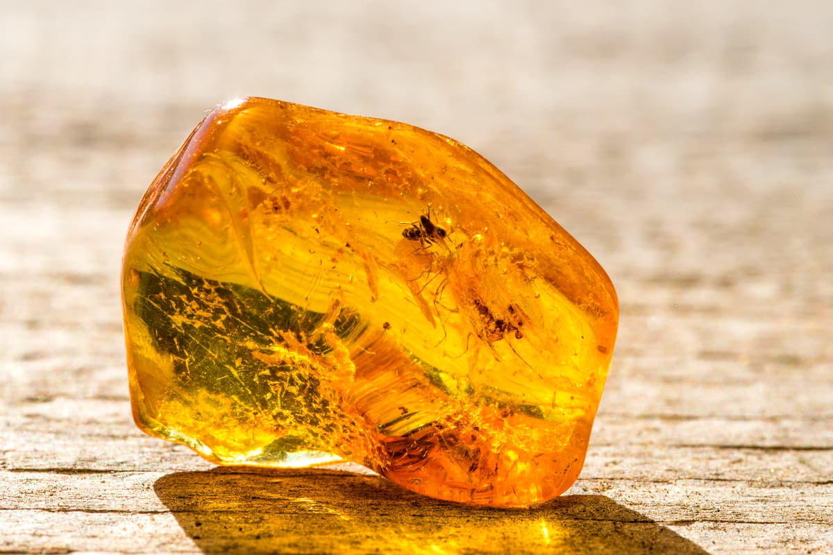 Natural amber can preserve DNA from insects, plants and animals for long periods, and now scientists have created an artificial version that could do the same