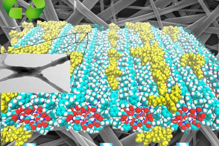 Illustration showing a theoretical simulation of the distribution of the polymer on peptide nanotubes and an electron microscopy image of the nanocomposite