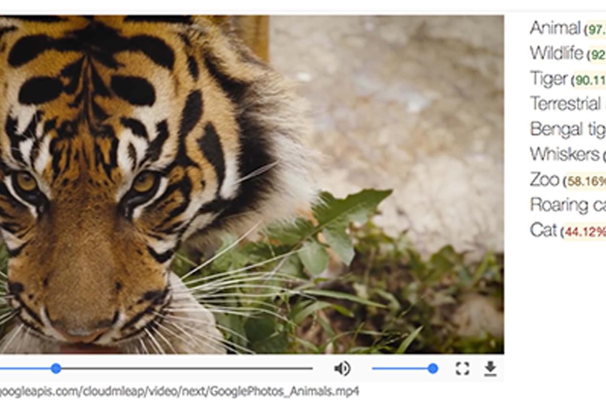 Google’s latest AI advancement expands its existing image recognition AI into the realm of video