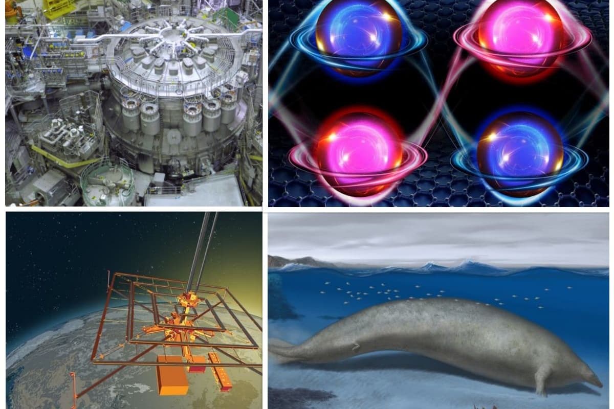 The year in science for 2023