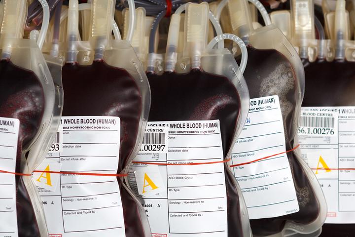 An artificial blood substitute being developed at the University of Essex could help overcome the worldwide shortfall in blood donations (Photo: Shutterstock)