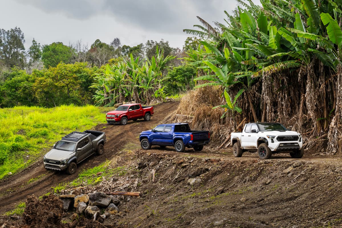 The all-new 2024 Tacoma will include seven trim models and both a manual and automatic transmission