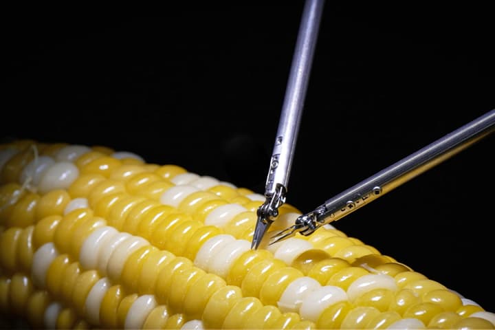 Sony's microsurgery robot operates on a corn kernel