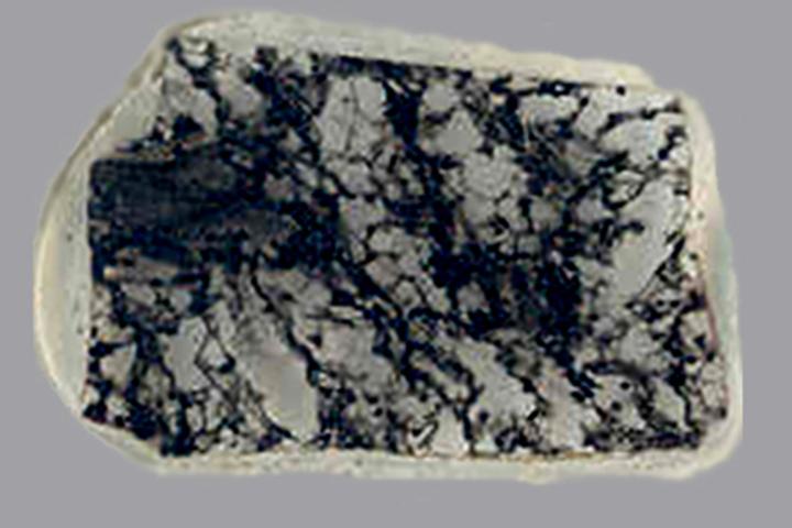 A section of a 2.3 billion-year-old rock bearing fossils (the dark areas) that are essentially identical to ones that are 500 million years younger, and to modern microorganisms that live in seawater mud (Photo: J. William Schopf/UCLA Center for the Study of Evolution and the Origin of Life)