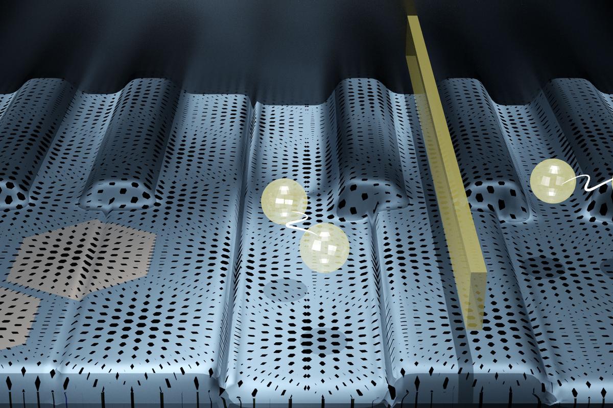 Researchers have created graphene electronic devices that are both insulators and superconductors at the same time, in different parts of the material