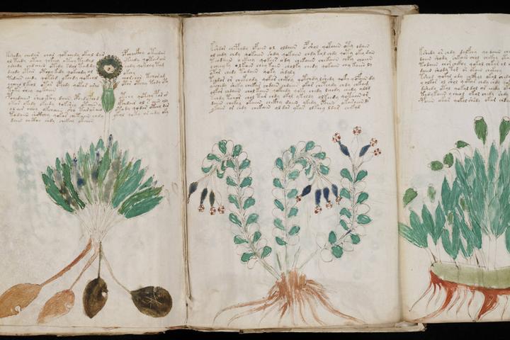 Two computer scientists are claiming to have created an algorithm that can decode the mysterious Voynich manuscript