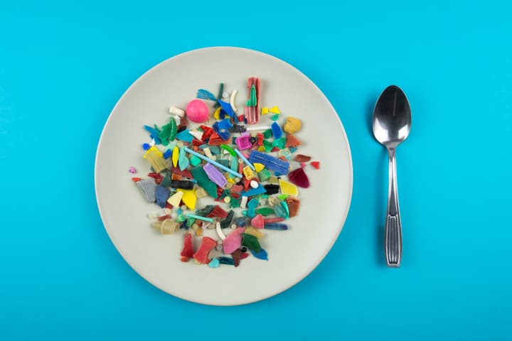 Australia's national science agency has reviewed studies on microplastics and called for more research into their effects on global health, food safety and security