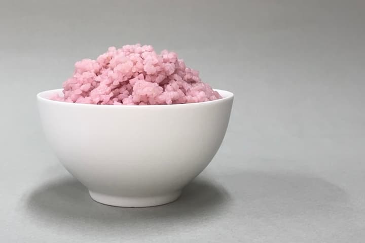 A bowl of beef-rice, created by a team of Korean scientists