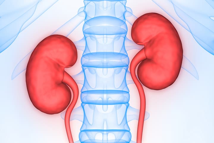 Researchers have developed a computational algorithm that uses genetic markers to predict kidney disease in type 2 diabetics