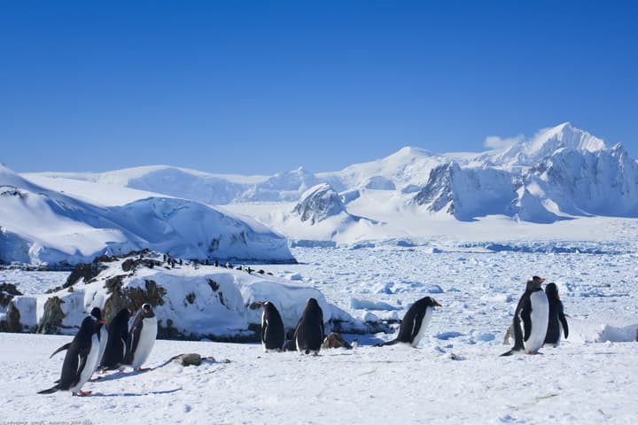 Scientists have discovered evidence of a 460-km-long river snaking its way through the base of the Antarctic ice sheet