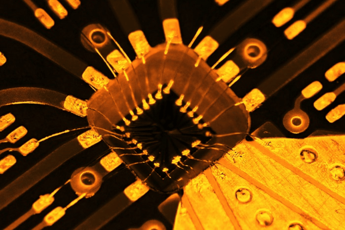 The silicon quantum computer chip used in the RIKEN study