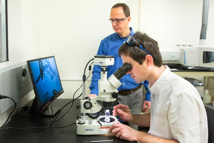 Researchers Radu Custelcean (top) and Charles Seipp study crystals that had absorbed carbon dioxide from ambient air