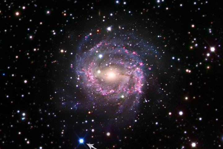 Supernova SN 2017cbv is located in the galaxy NGC 5643, about 55 million light years away, making it one of the closest supernovae recently discovered