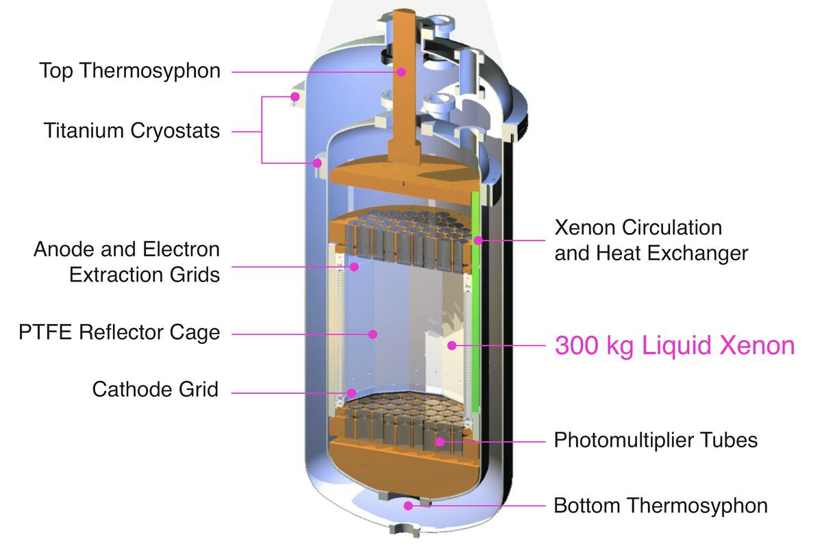 A cross-sectional view of the LUX dark matter detector (Image: LUX)