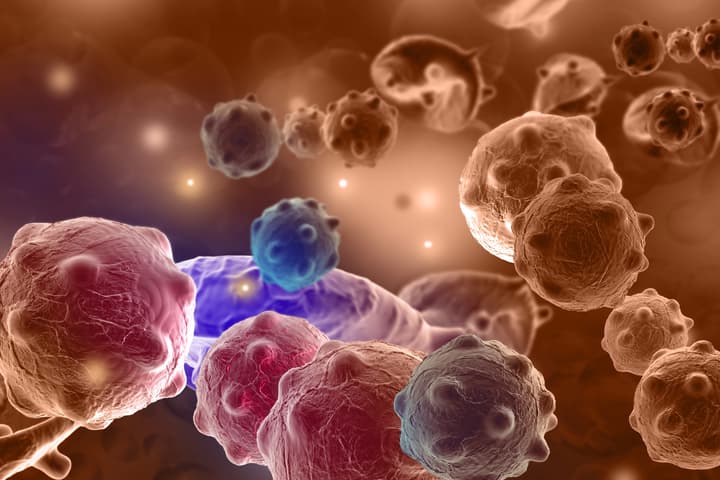 Tumor spheroids are a valuable experimental tool in the study of how to combat cancer