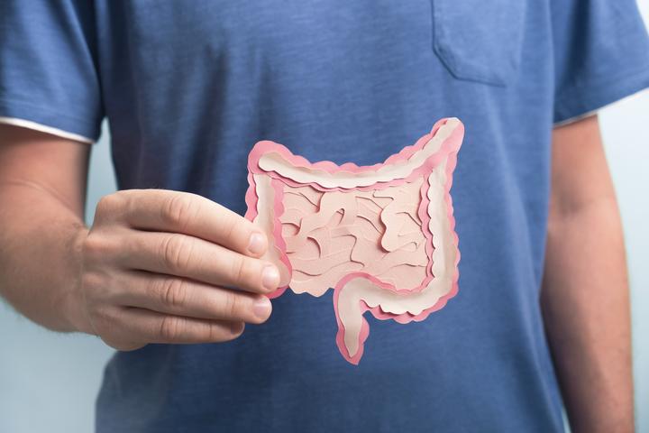 New research describes a mechanism by which diet can damage intestinal cells, setting off a chain reaction leading to microbiome dysfunction and heart disease