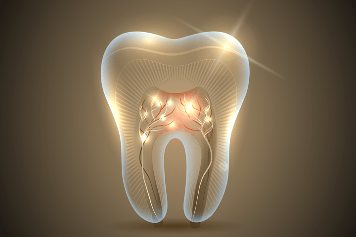 Scientists are about to start growing new teeth in humans