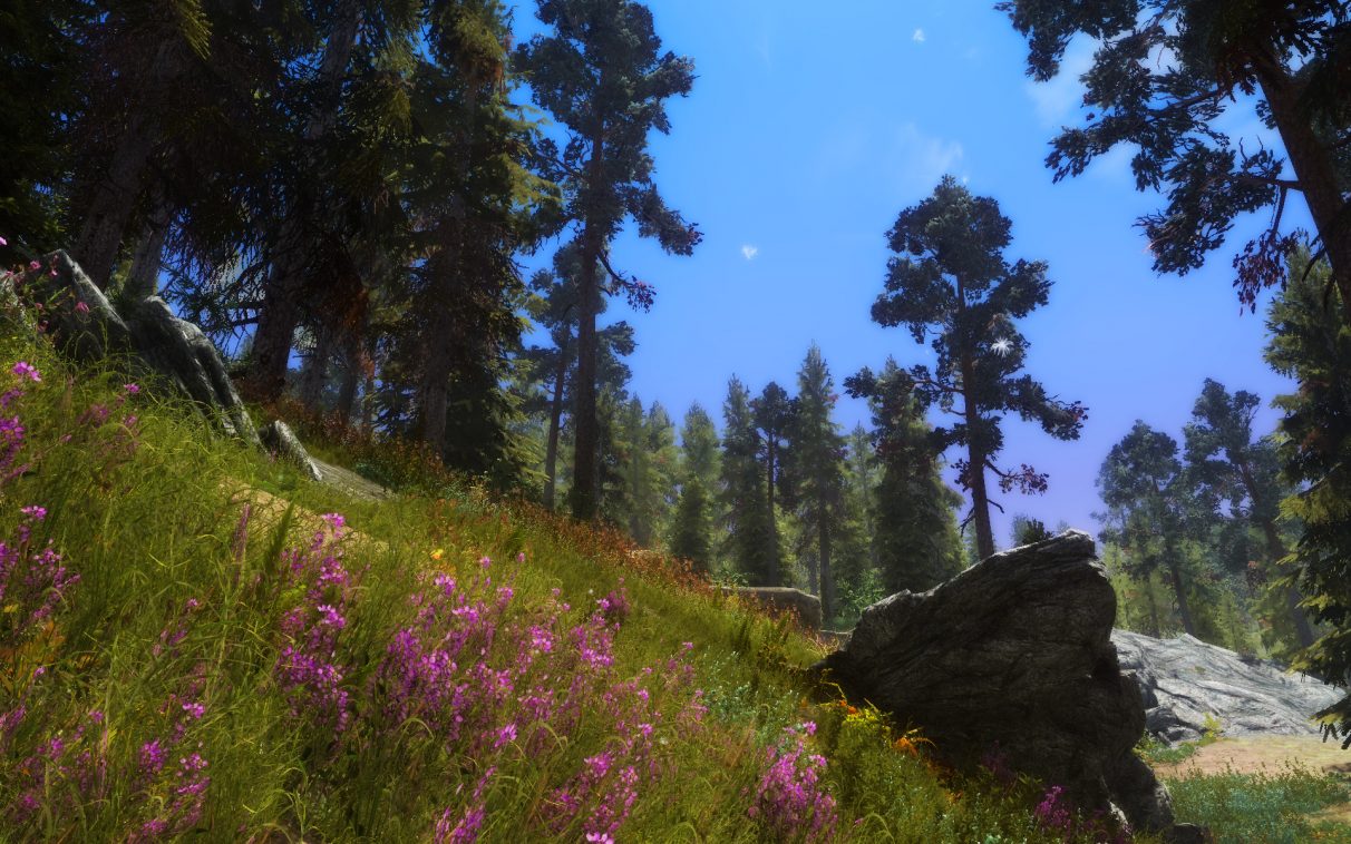 Skyrim Flora Overhaul