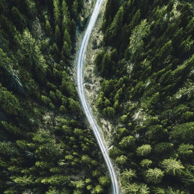 Luftaufnahme einer kurvigen Straße durch einen dichten Wald