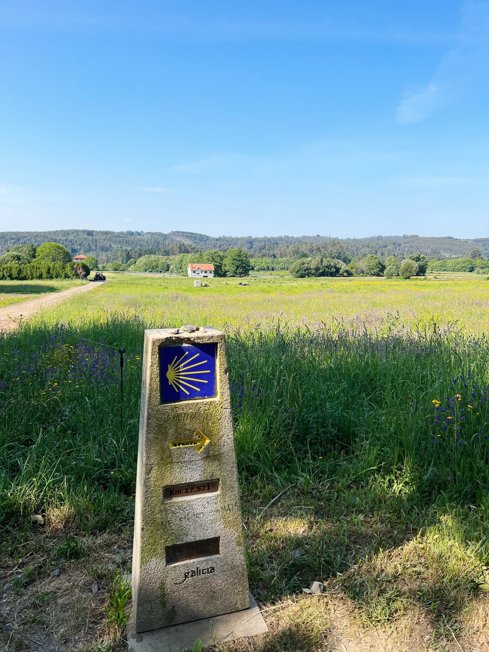 Image may contain Horizon Nature Outdoors Sky Mailbox Gravestone and Tomb