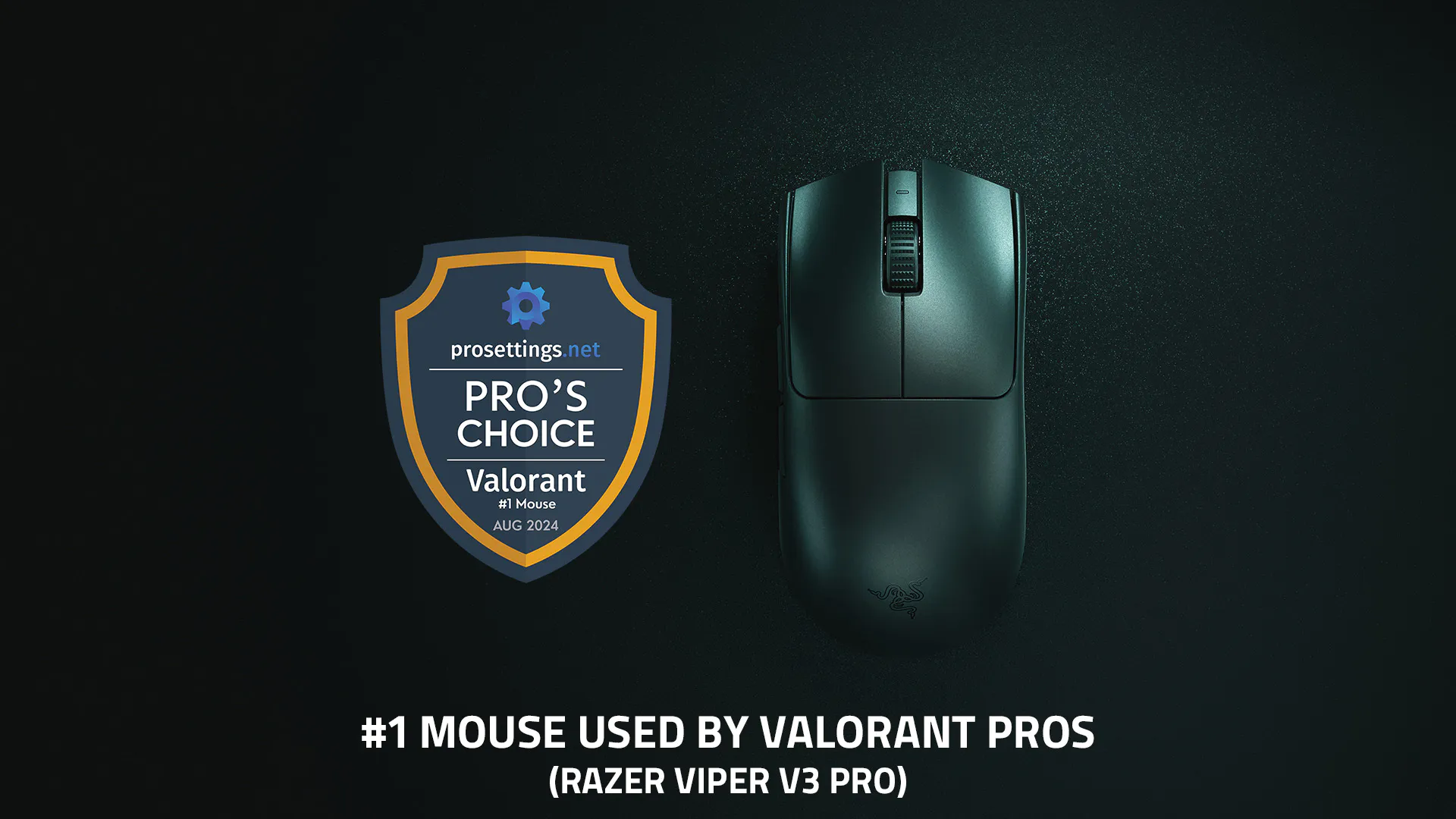 #1 souris USED BY VALORANT PROS