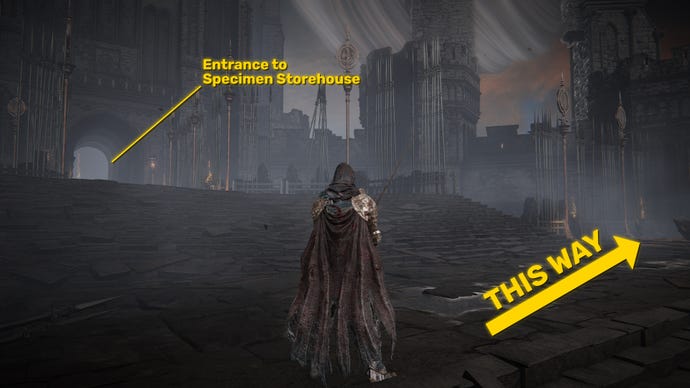 The player in Elden Ring: Shadow Of The Erdtree stands in front of the entrance to the Specimen Storehouse. A yellow arrows points in the direction of the path to the Castle Watering Hole.