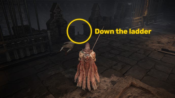 The player in Elden Ring: Shadow Of The Erdtree stands in front of a ladder down to the Castle Watering Hole in Shadow Keep.