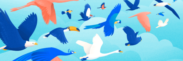 A flock of disparate birds, signifying the 16 Myers Briggs personality types