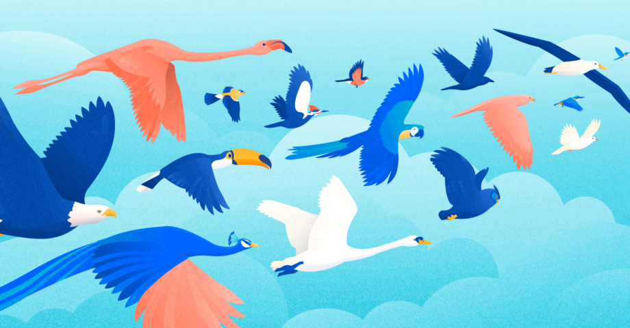 A flock of disparate birds, signifying the 16 Myers Briggs personality types