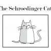 TheSchroedingercat