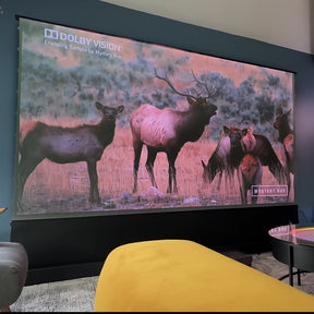 LTV-3500 Pro 4K Ultra Short Throw Laser Projector displays a natural setting with a Dolby Vision wildlife scene.