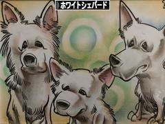 にほんブログ村 犬ブログ ホワイトシェパードへ