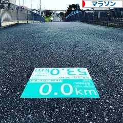 にほんブログ村 その他スポーツブログ マラソンへ